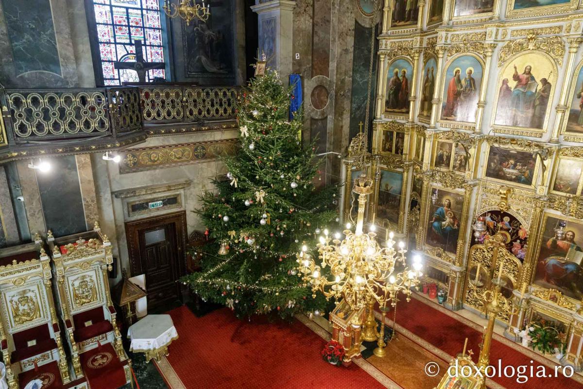 Bradul de Crăciun de la Catedrala Mitropolitană din Iași / Foto: pr. Silviu Cluci